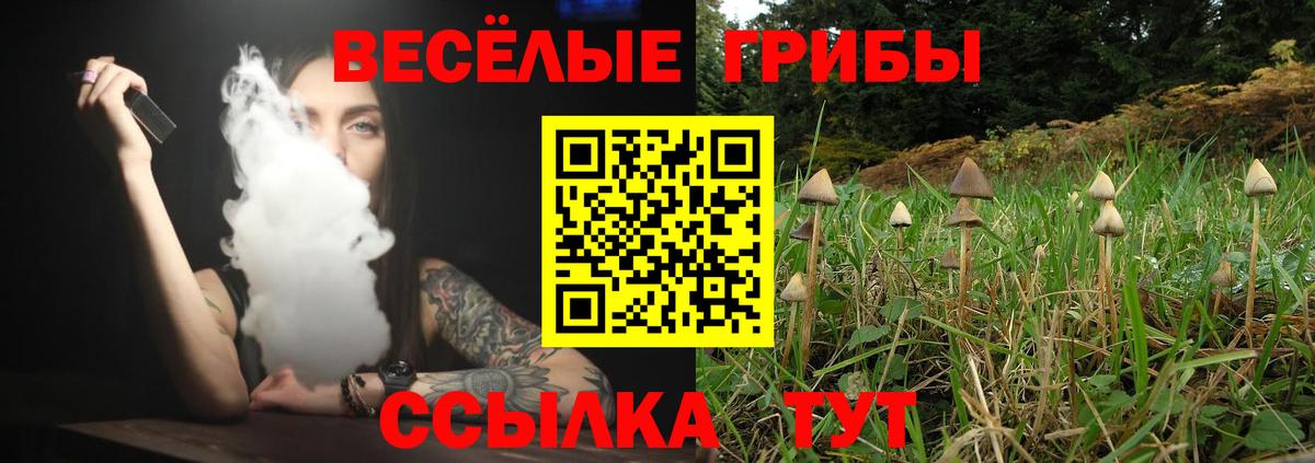 Псилоцибиновые грибы Psilocybe  Вход с VPN  Лосино-Петровский 